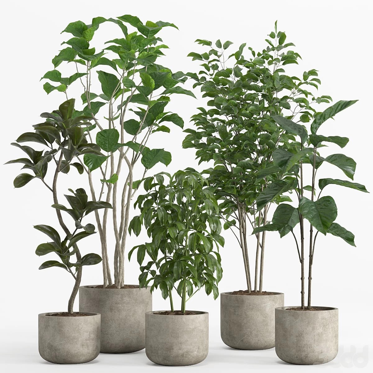 indoor plant set 017