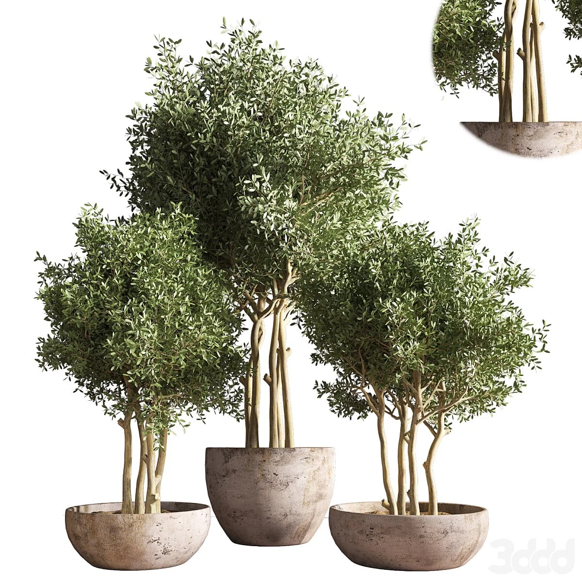 indoor plant stand 19