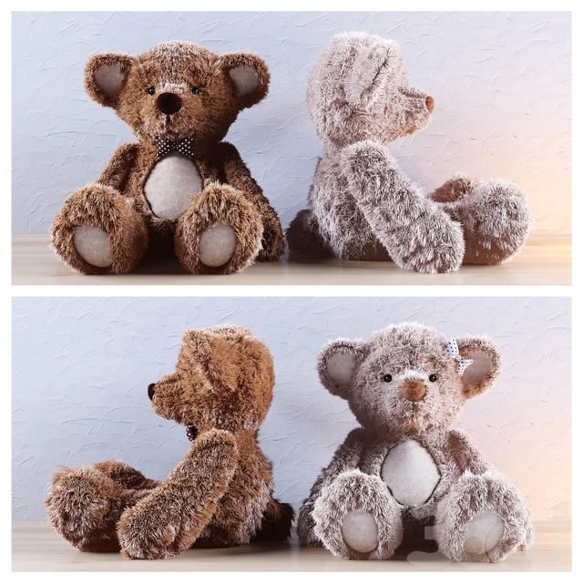 Bears