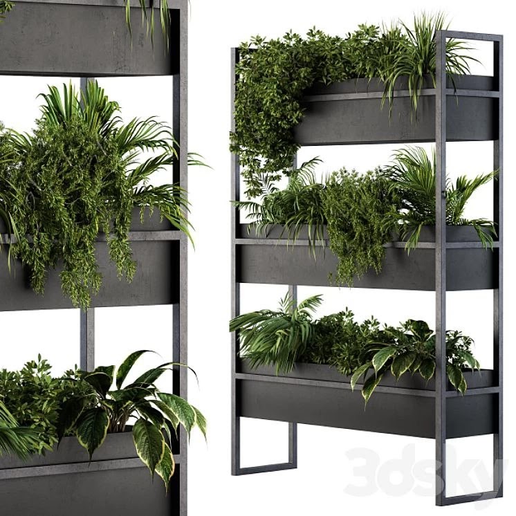 Black Box Plants on stand 05