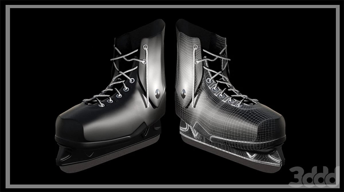 Skates Dynamo /