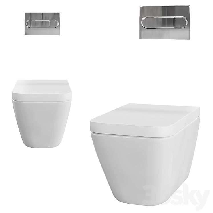 Toilet Hanging Roca