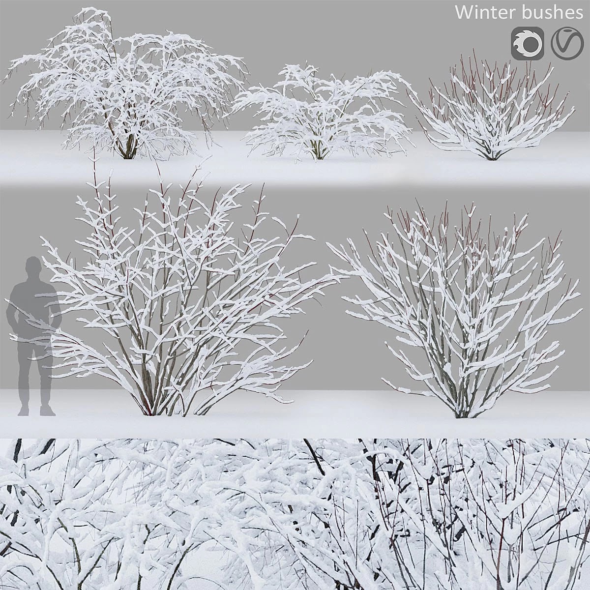 Winter bushes #1