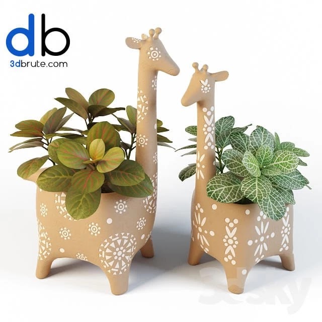 Giraffe Pots and Fittonia