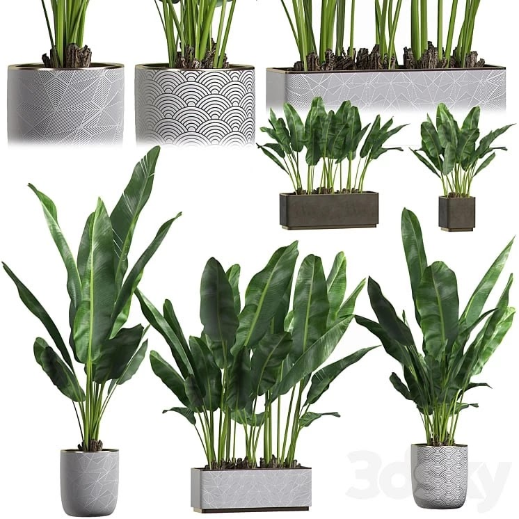 INTERIOR FLOWER PACK 1