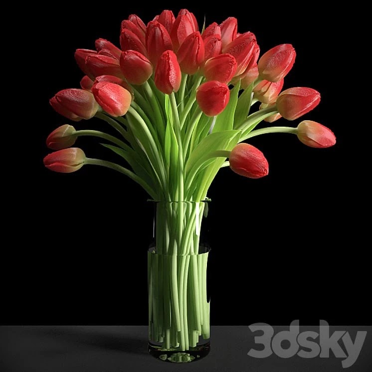 Red Tulips