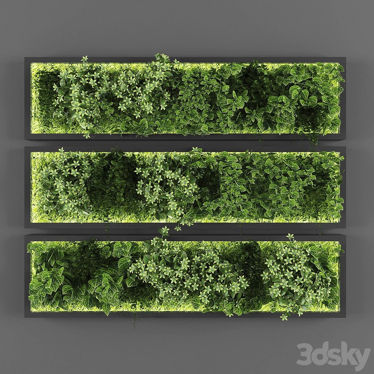 Vertical garden 074