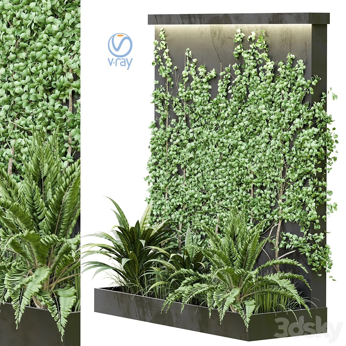 Outdoor Plant Vol38