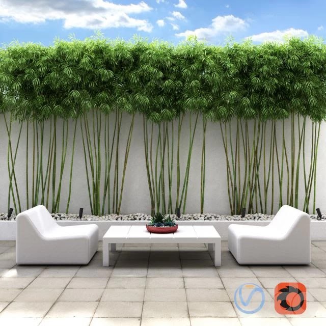 Bamboo wall