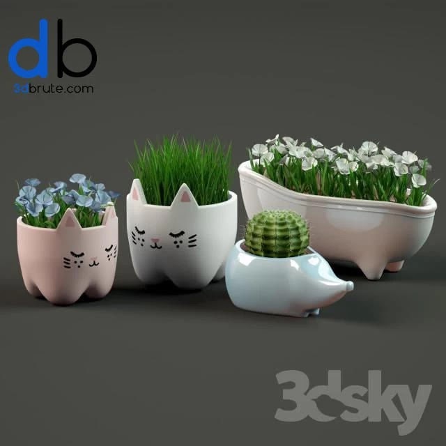 2 pots