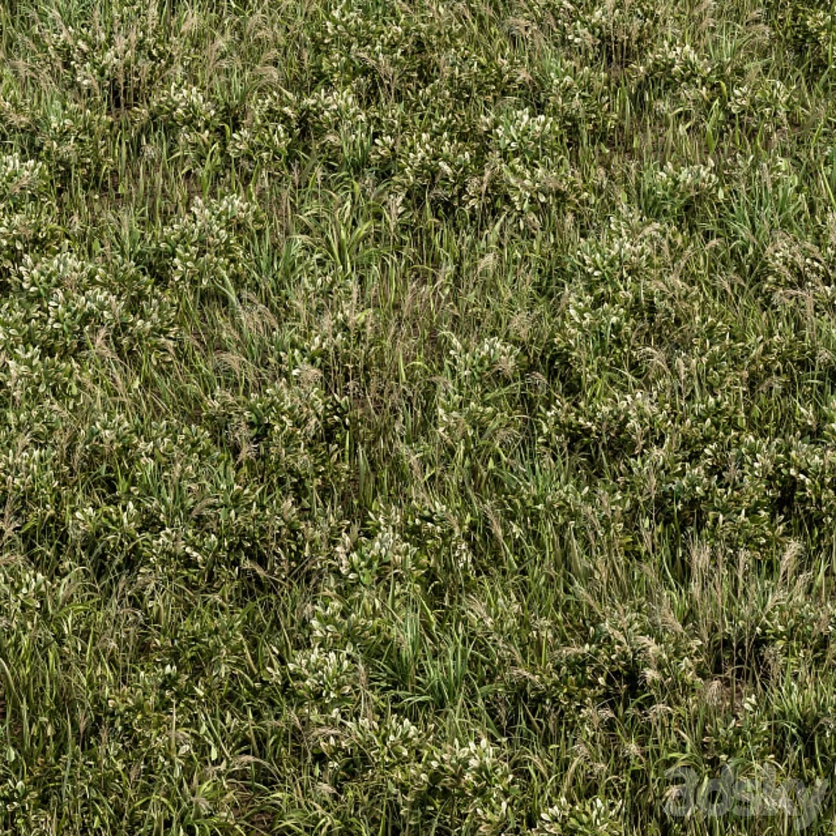 Wild Grass Green - Grass Set 01