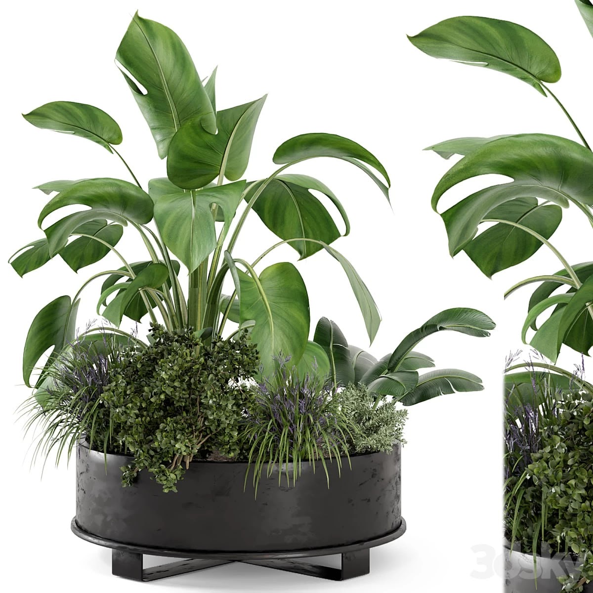 Outdoor Plants Bush in rusty Metal Pot - Set 222