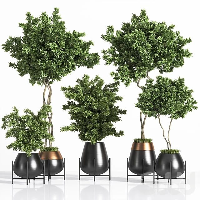 indoor plant set 01