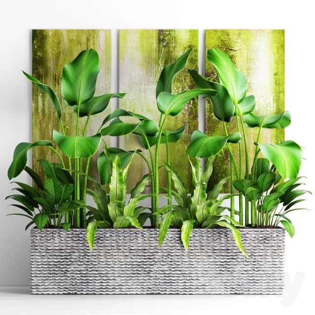 Plant Linear
