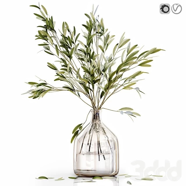 Olive stems 3