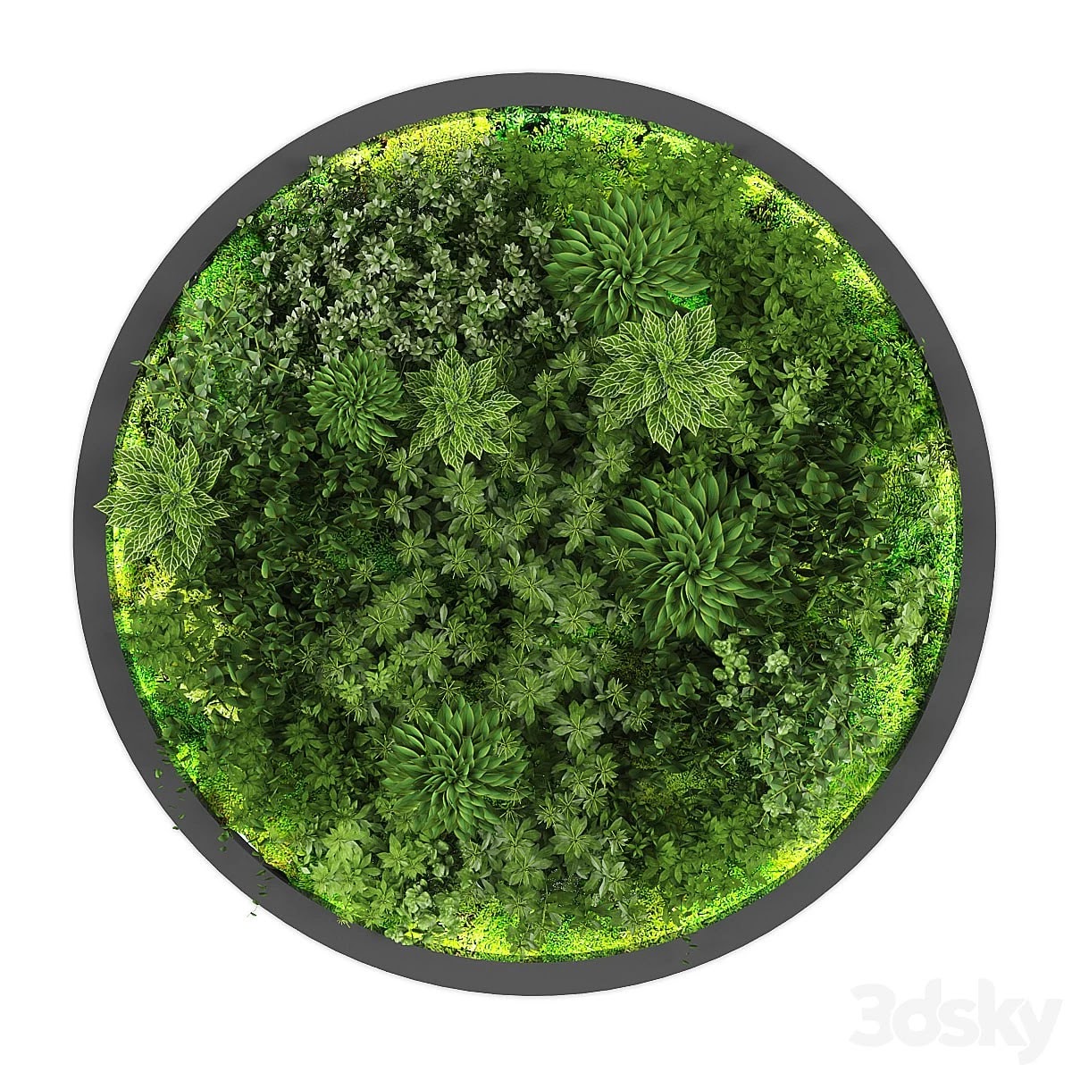vertical garden188