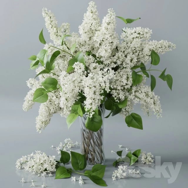 Vase Flower