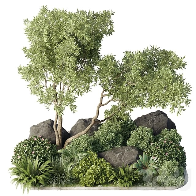 Collection 40 outdoor and indoor pot plant & tree & bush & fern the garden set pot