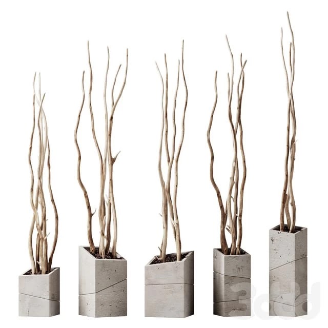 Branch decor vase slice n2 / Branches curves in beveled vases