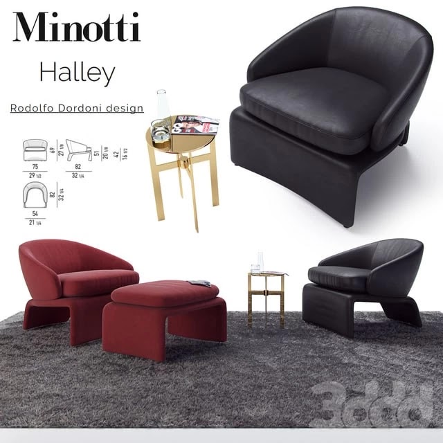 Halley Armchair / Minotti Halley